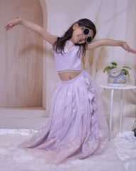 Lavender Dreams Embroidered Lehenga