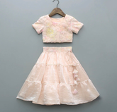 Peral embellishments lehenga set