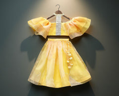 yellow organza Lehenga & top