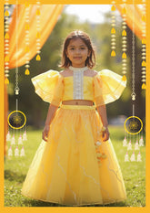 yellow organza Lehenga & top