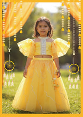 yellow organza Lehenga & top