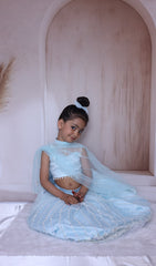 Heavy embroidery baby blue lehenga
