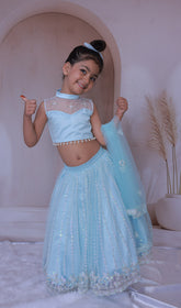 Heavy embroidery baby blue lehenga