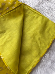 Parrot green Heirloom Kurta Set