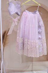 Lavender Dreams Embroidered Lehenga