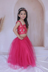 Brocade top and net Lehenga