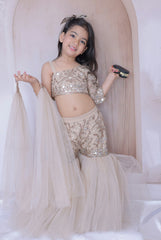 Mirror work Sharara, Top and dupatta