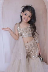 Mirror work Sharara, Top and dupatta