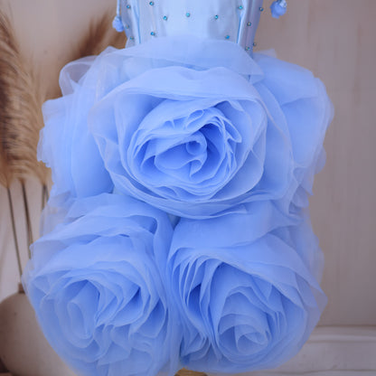 “Blush Bloom Rose Dress – A Twirl of Petals & Elegance”