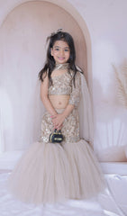 Mirror work Sharara, Top and dupatta