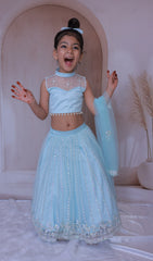Heavy embroidery baby blue lehenga