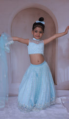 Heavy embroidery baby blue lehenga