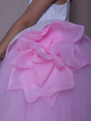 Rosé Petal Dream Dress
